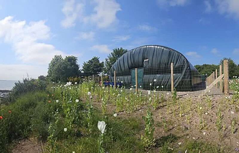 A prawn RAS facility in Scotland