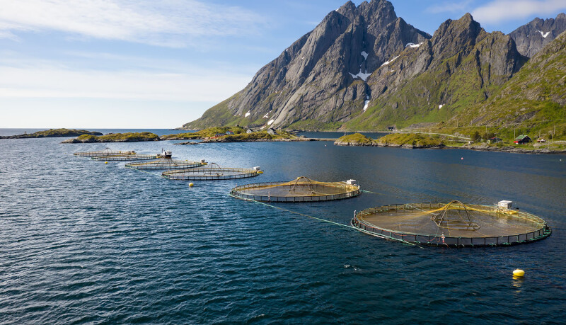 fish farm in Norway