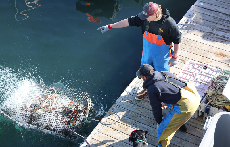 Two lobstermen on a dock throwing a trap into the water