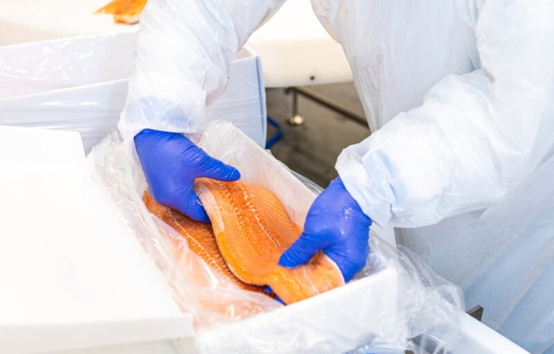 A person holding a fillet of salmon
