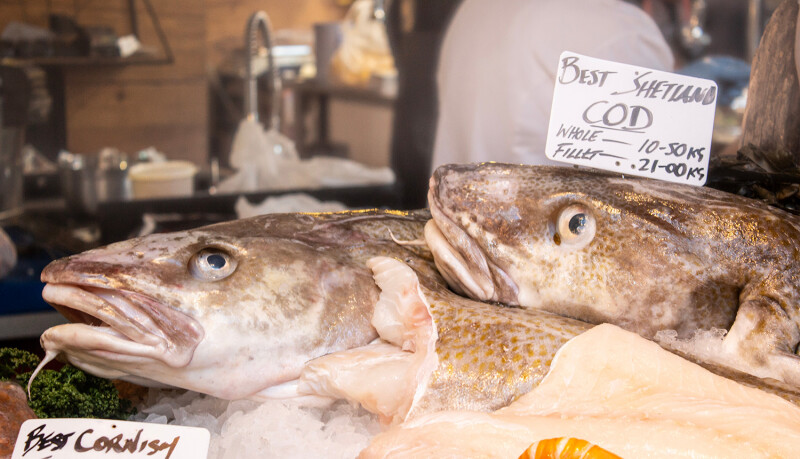 Cod from the Shetland Islands at a London auction