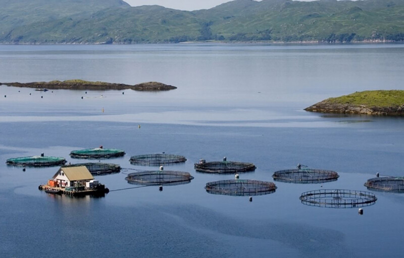 A Scottish fish farm