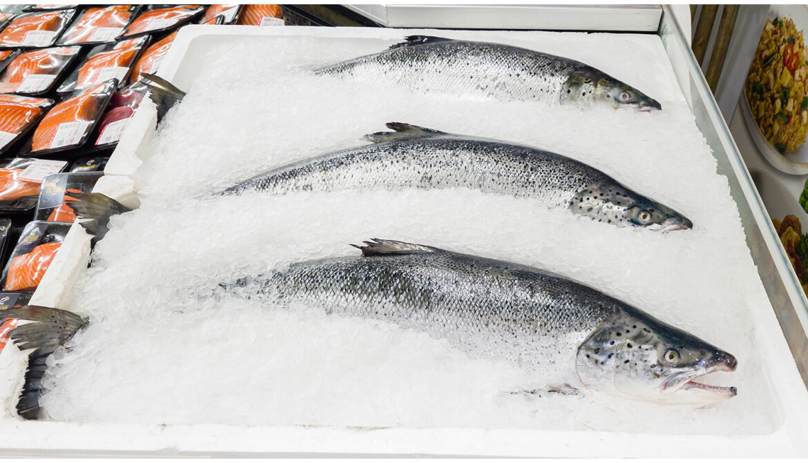 salmon in ice at a store