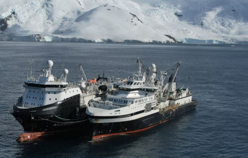 A pair of Aker vessels in the Antarctic