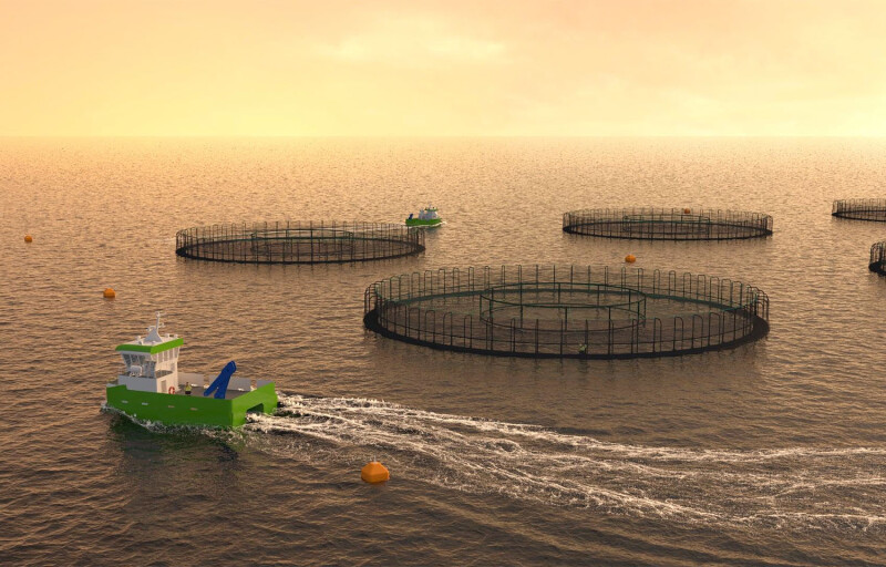A rendering by Unity Marine of its planned aquaculture operation