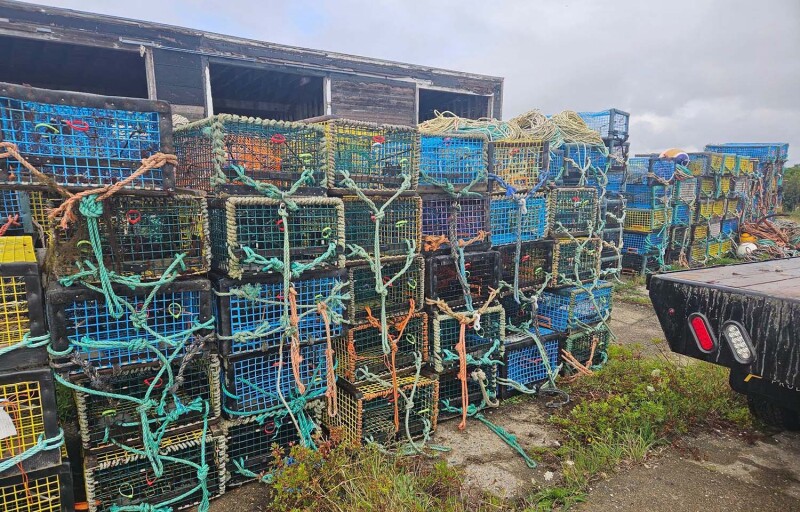 A pile of lobster traps seized by authorities