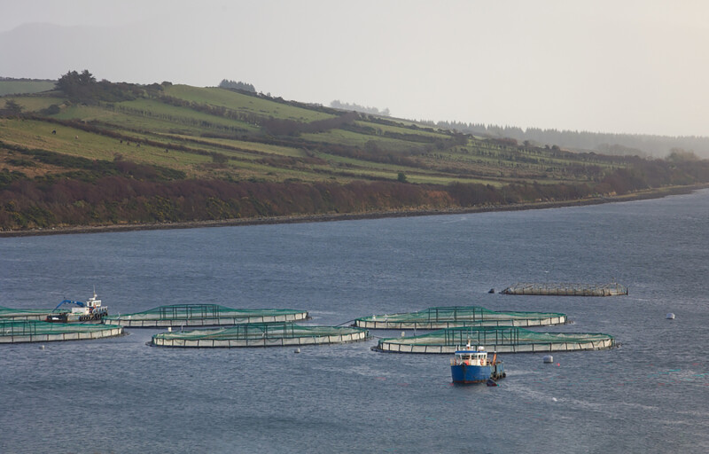 A fish farm in Donegal, Ireland