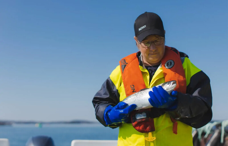 A Mowi salmon farmer holding a farmed salmon