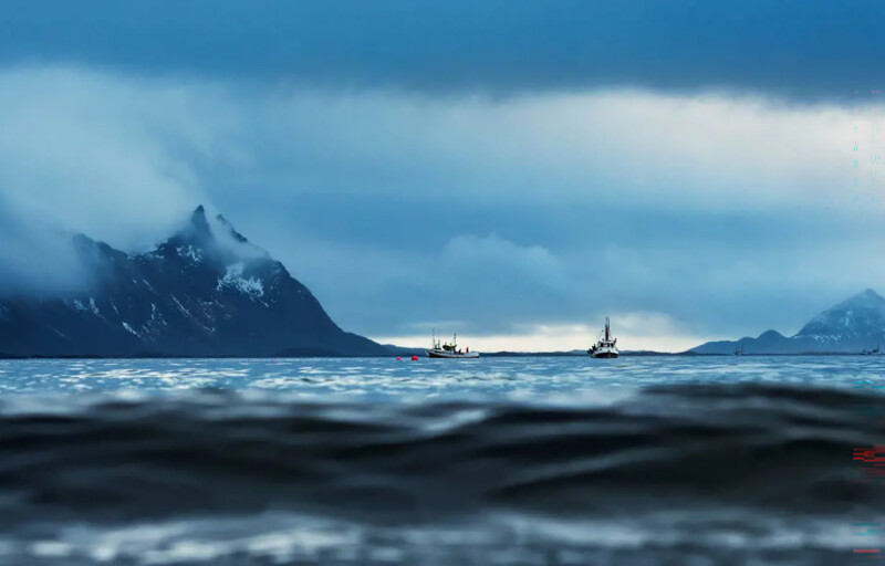 Lerøy fishing vessels