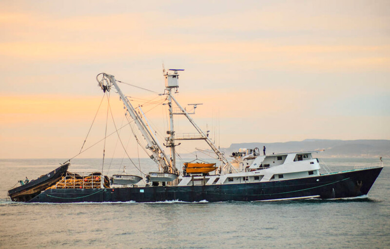 A purse seine tuna fishing vessel a