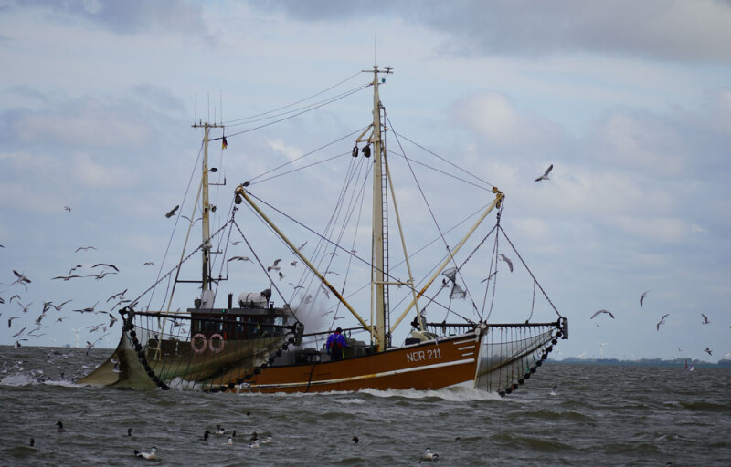 A German fishing vessel