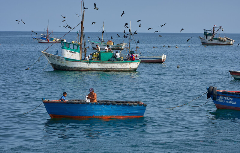 Fishing vessels in Peru