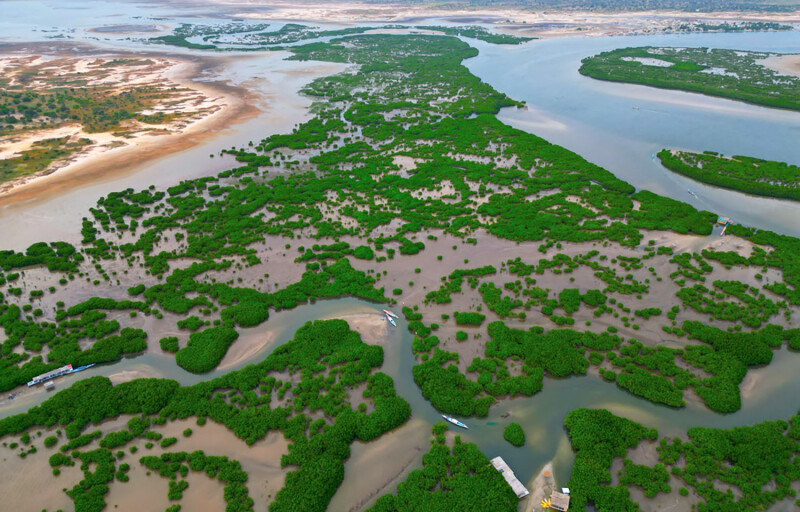 The Saloum Delta of Senegal