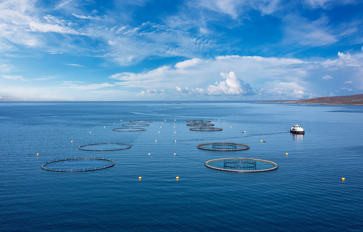 A Norwegian salmon farm