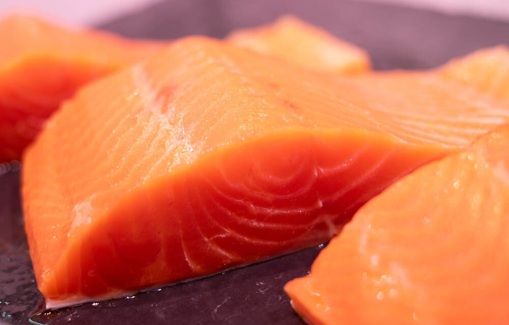 salmon