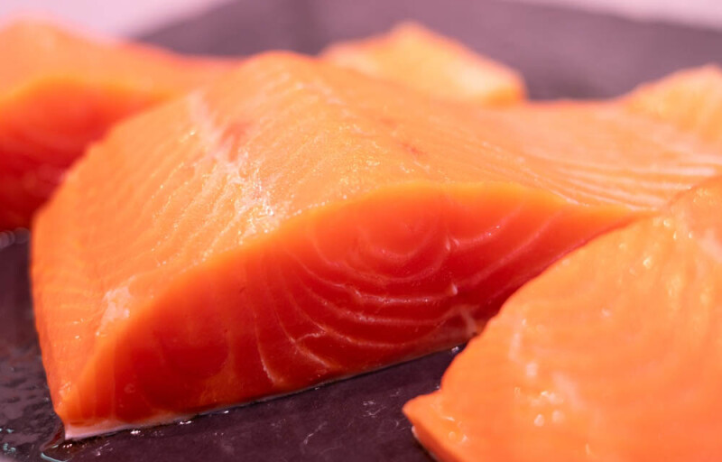 salmon