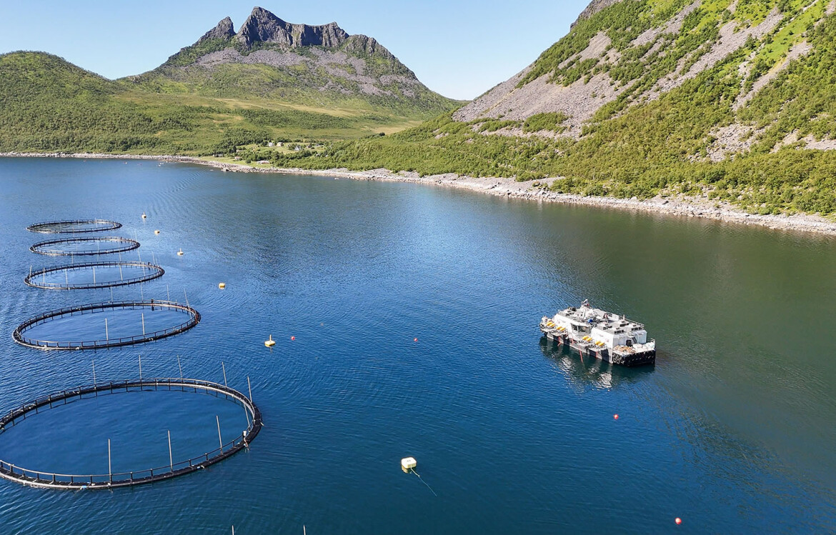 Fjord in Norway