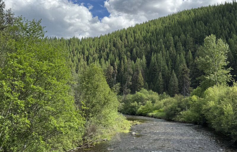 Lolo Creek