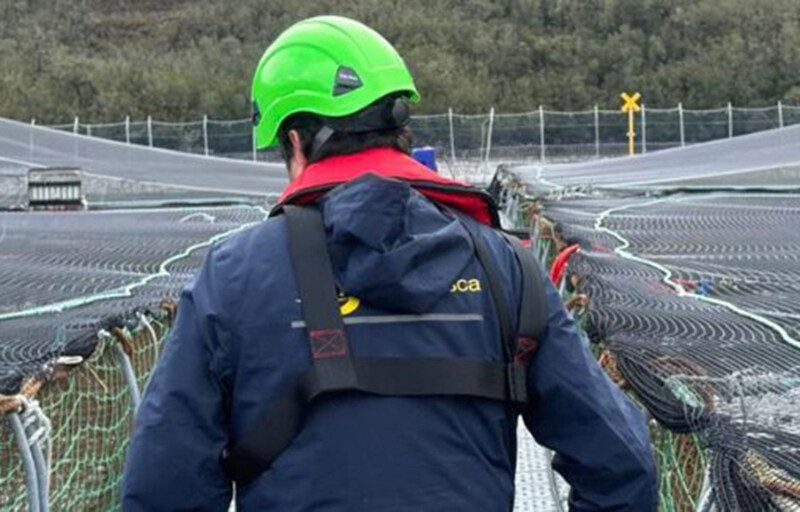 A Sernapesca worker walking on a net pen
