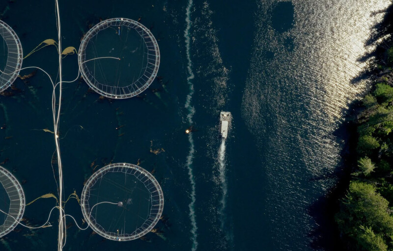 An aerial view of a salmon farm in British Columbia