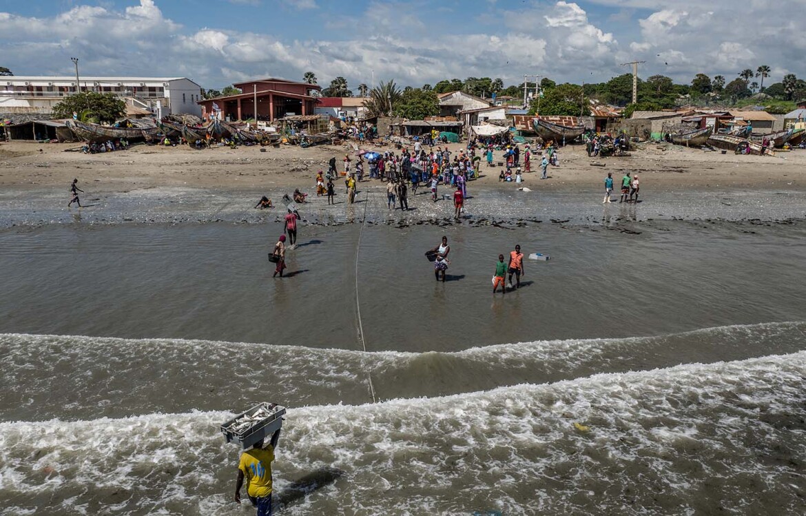 Workers carry crates of fish to shore in Gunjur, Gambia, in 2019