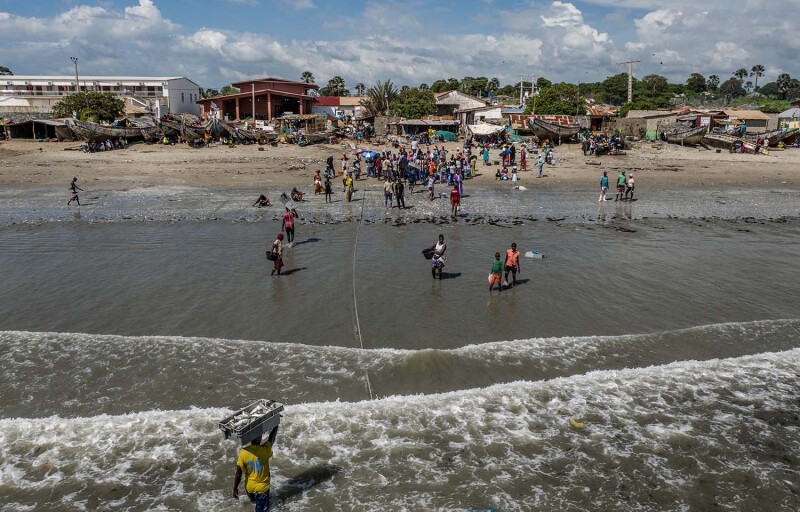 Workers carry crates of fish to shore in Gunjur, Gambia, in 2019