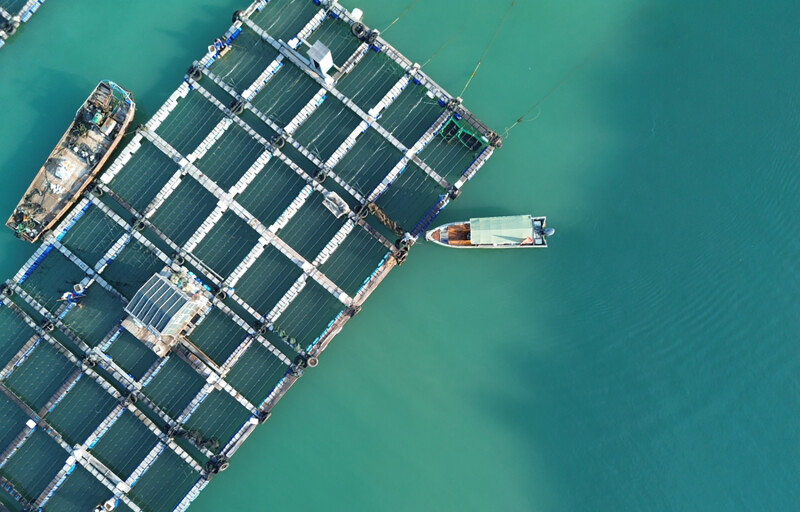 A fish farm off of Fuzhou, China