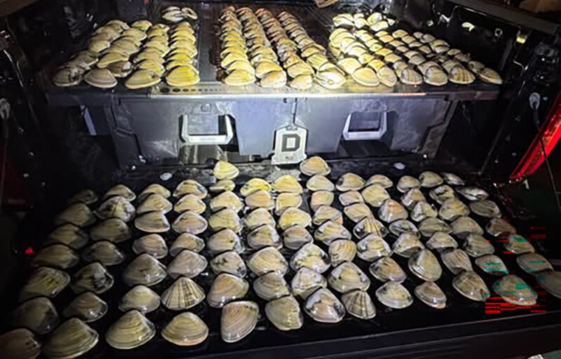 seized Pismo clams