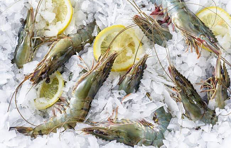 Shrimp on ice