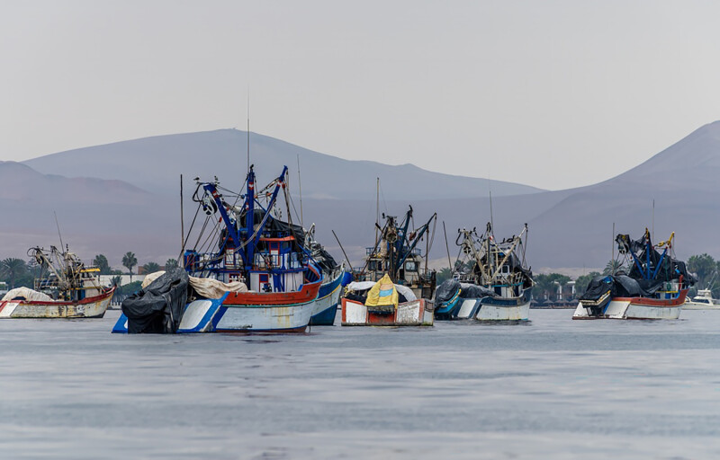 Fishing vessels in Paracas, Peru