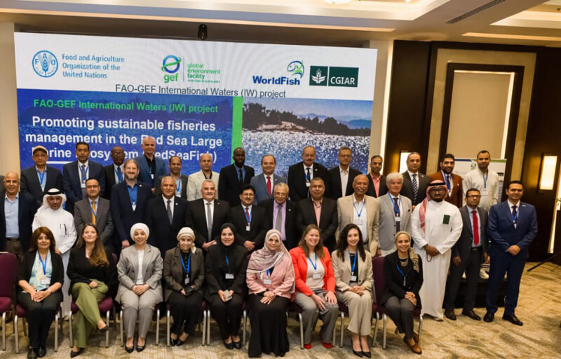 Representatives meeting in Cairo to discuss the project