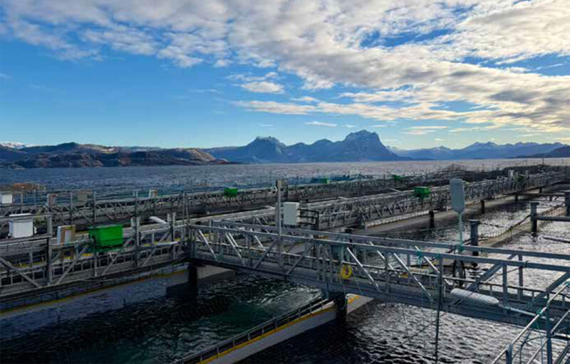 Gigante Salmon's facility in Norway