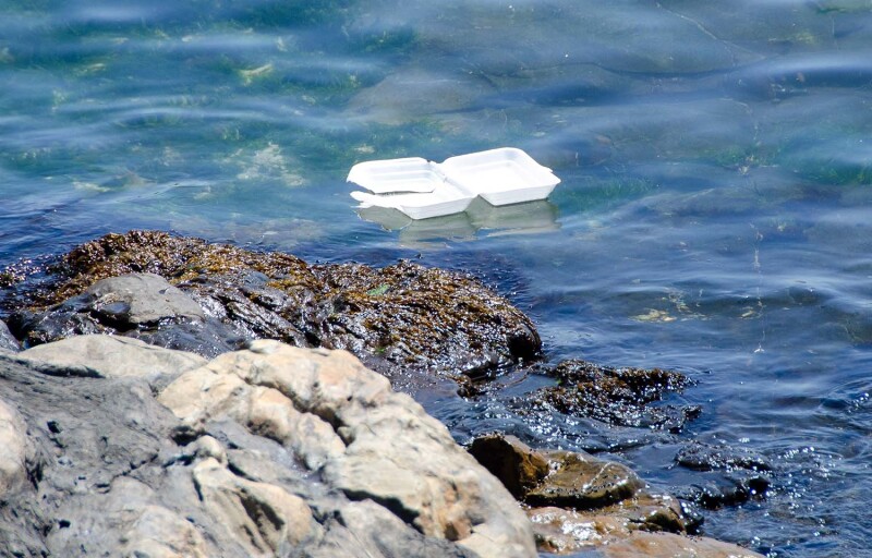 Plastic foodware floating in ocean