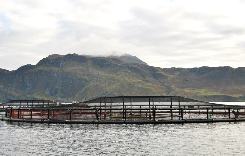 Scottish fish farm