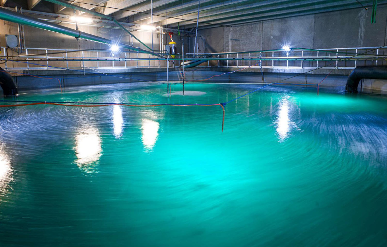 A recirculating aquaculture system tank at Biofish's facility in Norway