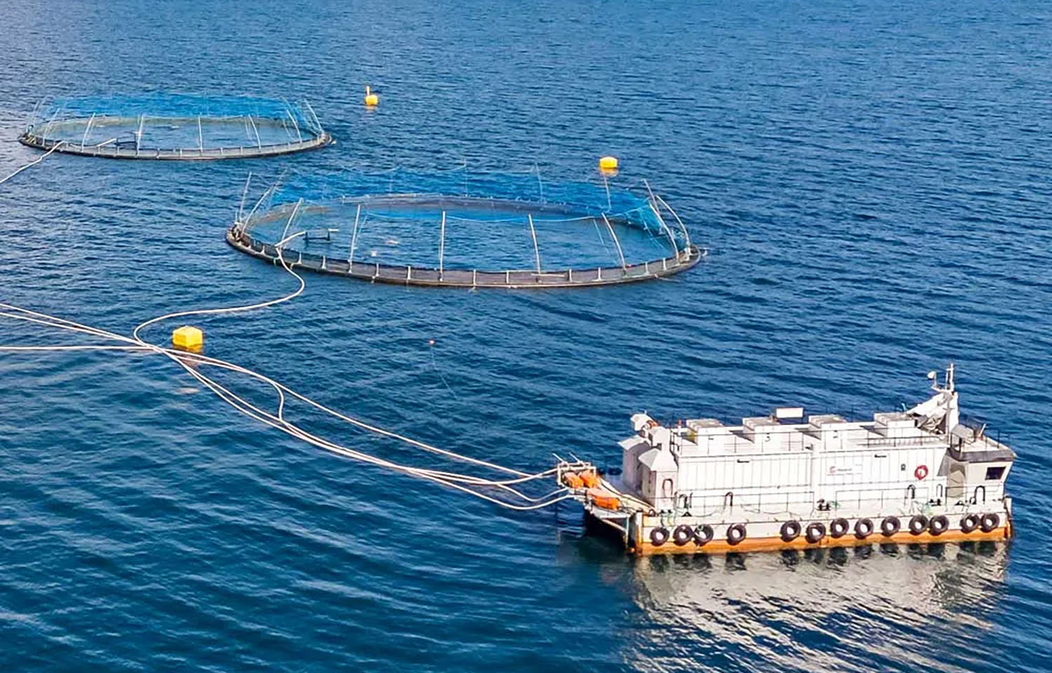 A Måsøval salmon farm