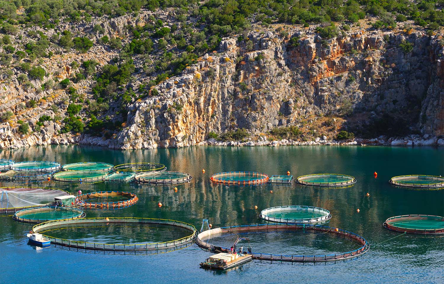 EU aquaculture group calls for bloc to refine its planned plastics regulations