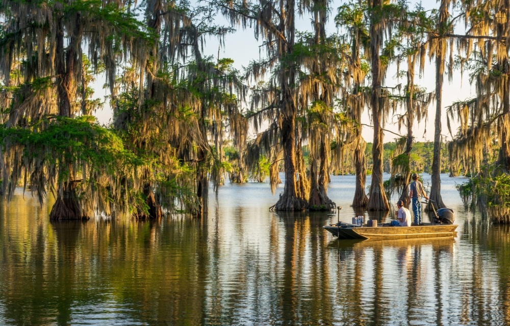 Louisiana wildlife agents cite two individuals for illegally selling catfish