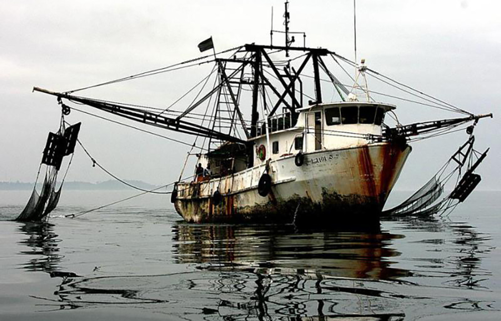 The Protecting Global Fisheries Act would authorize the president to impose sanctions on foreign persons or vessels deemed complicit in IUU fishing