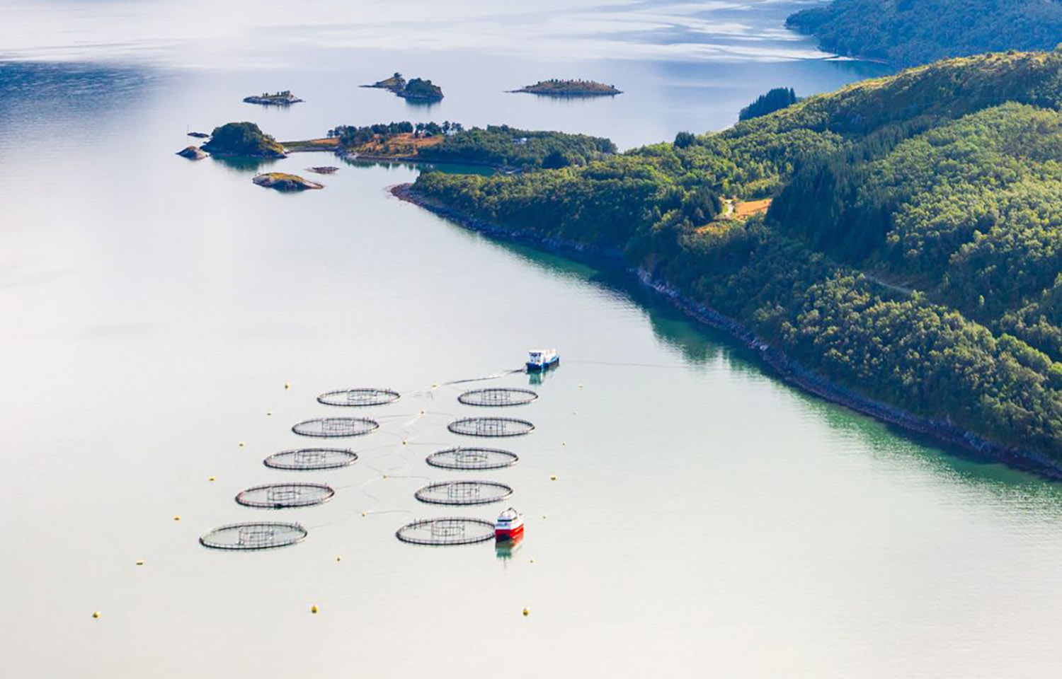 An aerial shot of Nova Sea's farm in Northern Norway, of which Mowi recently bought a controlling stake