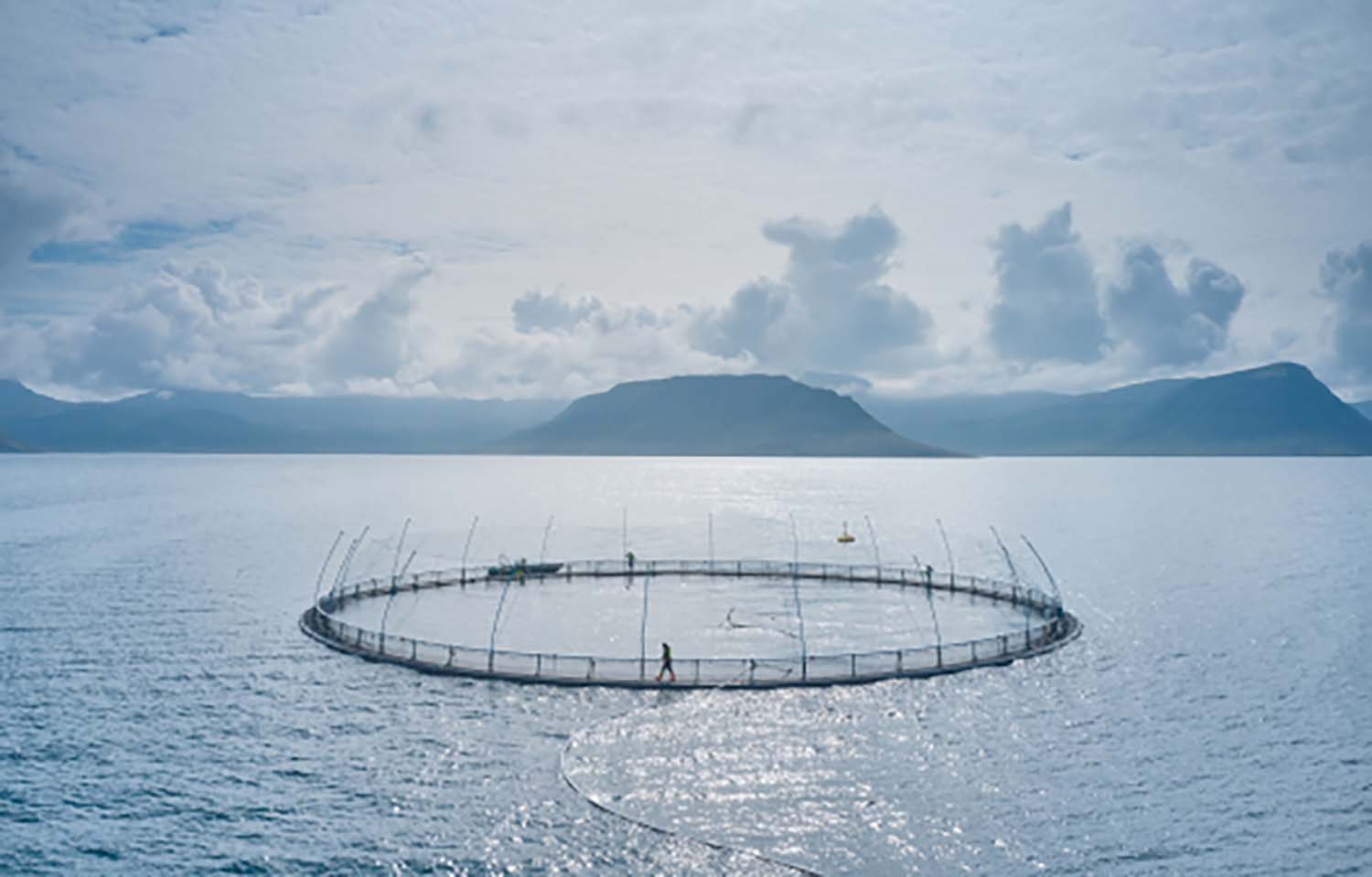 An aerial view of an Arnarlax net pen