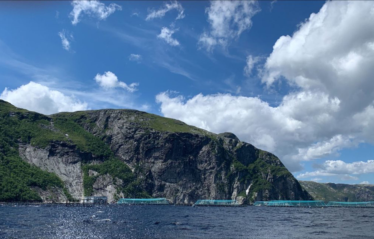 A Mowi Canada East salmon farming site