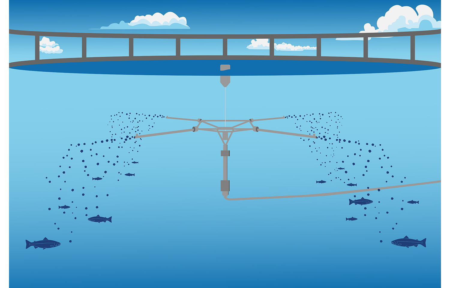 A rendering of BioMar research on waterborne feed systems