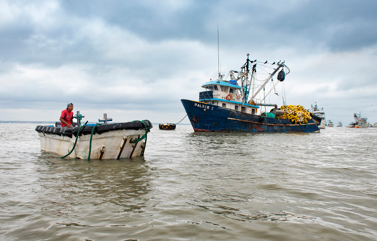 World Wildlife Fund touts TUNACONS as a success story both in Ecuador and internationally