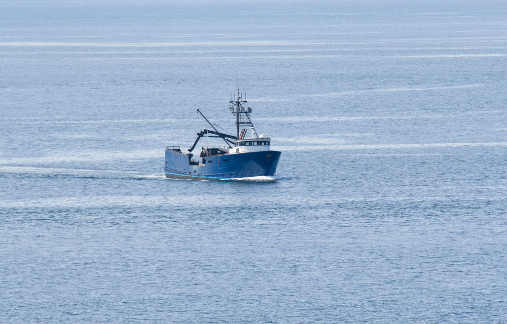 Alaska Seafood Marketing Institute awarded over USD 10 million in grant funding for international marketing