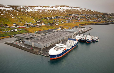 A group of Bakkafrost vessels at one of the company's facilities.