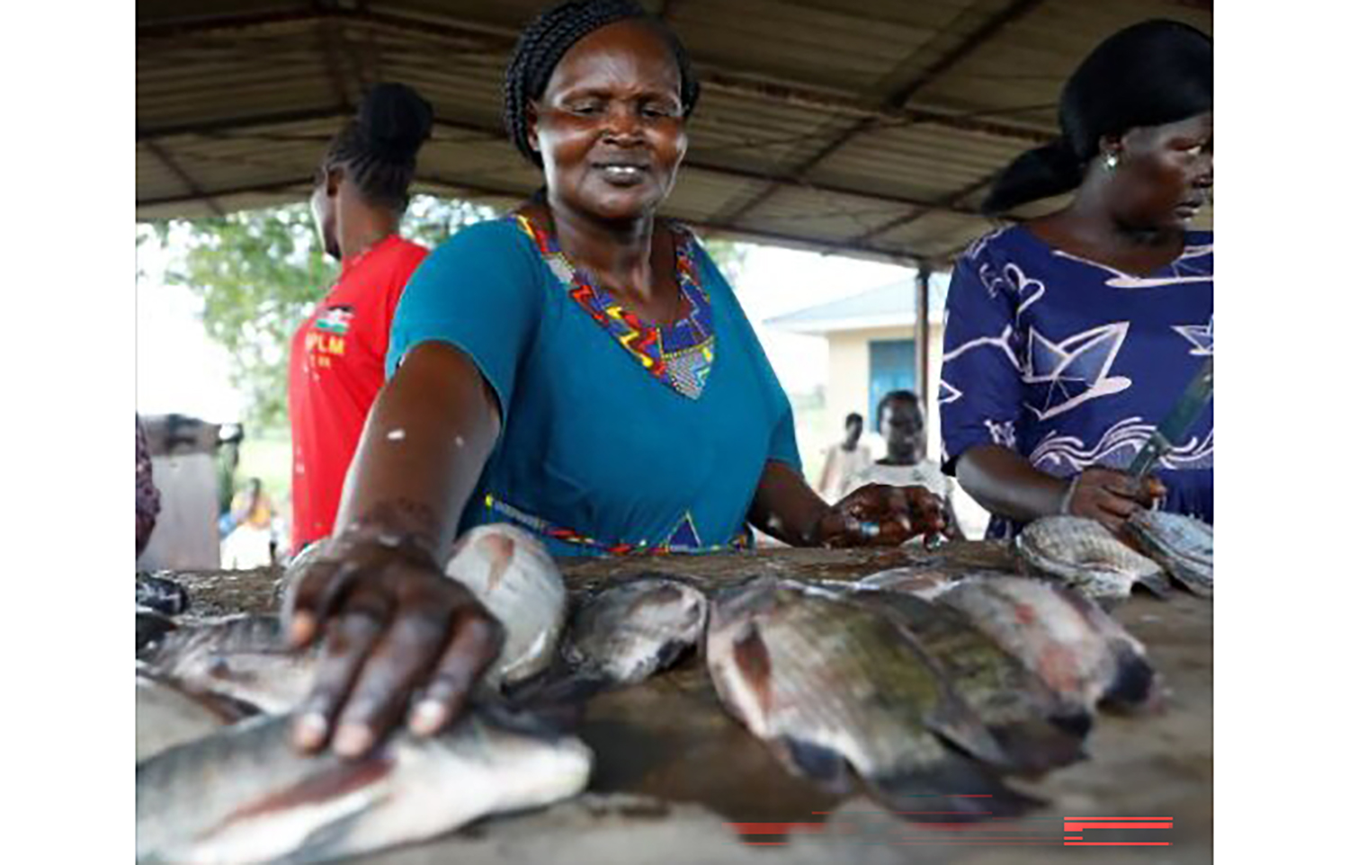 A South Sudanese woman handling fish
