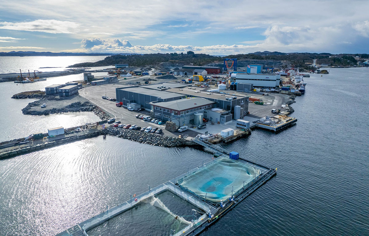 Hardanger Seafood's Langevågen fish-processing location.
