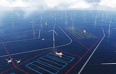 Location of the amazon funded seaweed farm