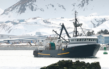 Murkowski looks to boost Alaska seafood with Improving ARCTIC Act